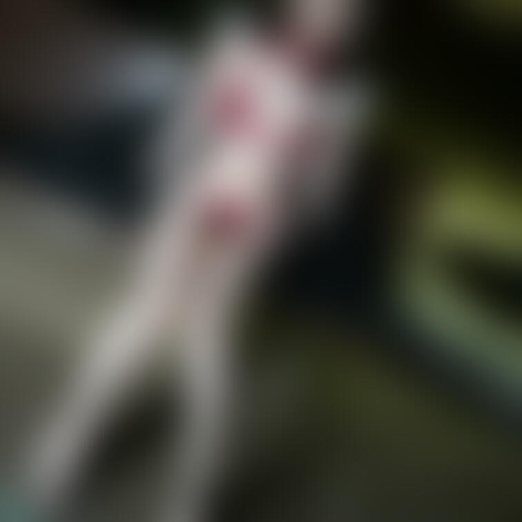 X(旧Twitter)で一枚投稿しちゃいましたけど、今年のクリスマスも外でサンタしてました🥰