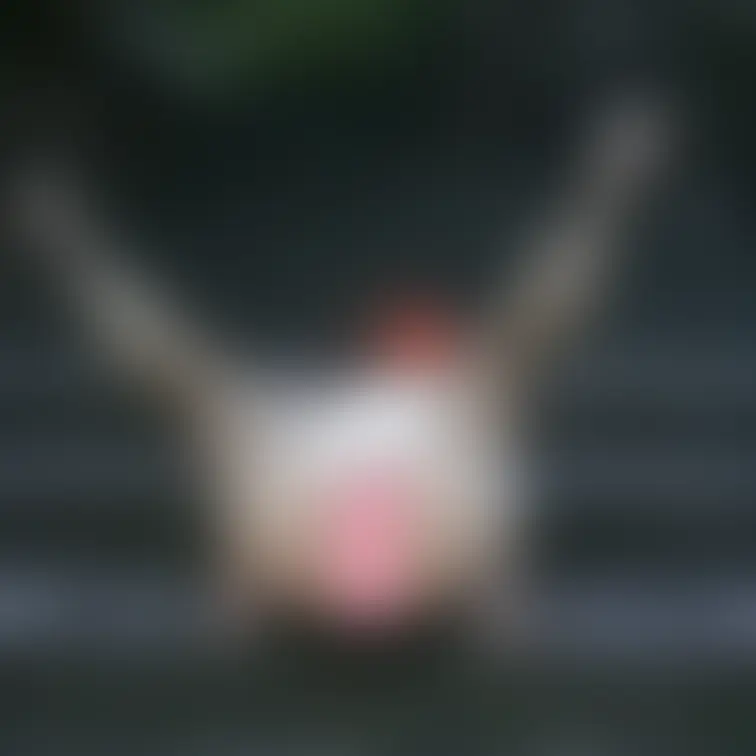 暑い日は露出が最高(^^♪