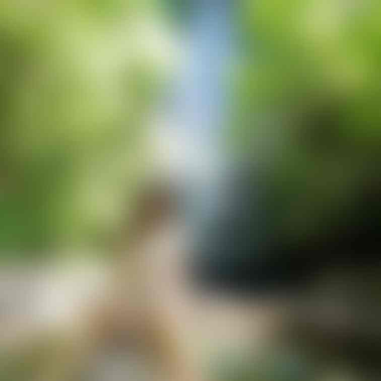 徐々に脱いでいくのはどうですか？