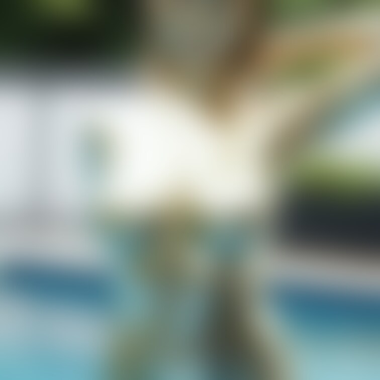 南国でプールを楽しむ金粉美女/ Golden bodypainted girl enjoying vacation (p