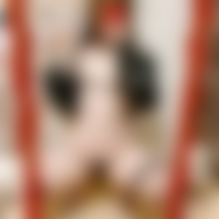 首輪(黒)⛓️ ③