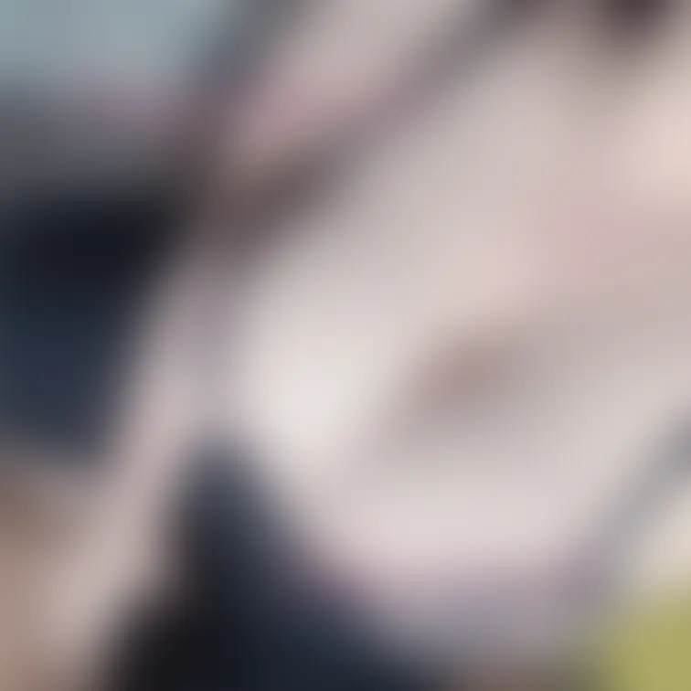 最近ぷくぷくです