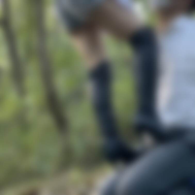 林踏み活詰め合わせ①