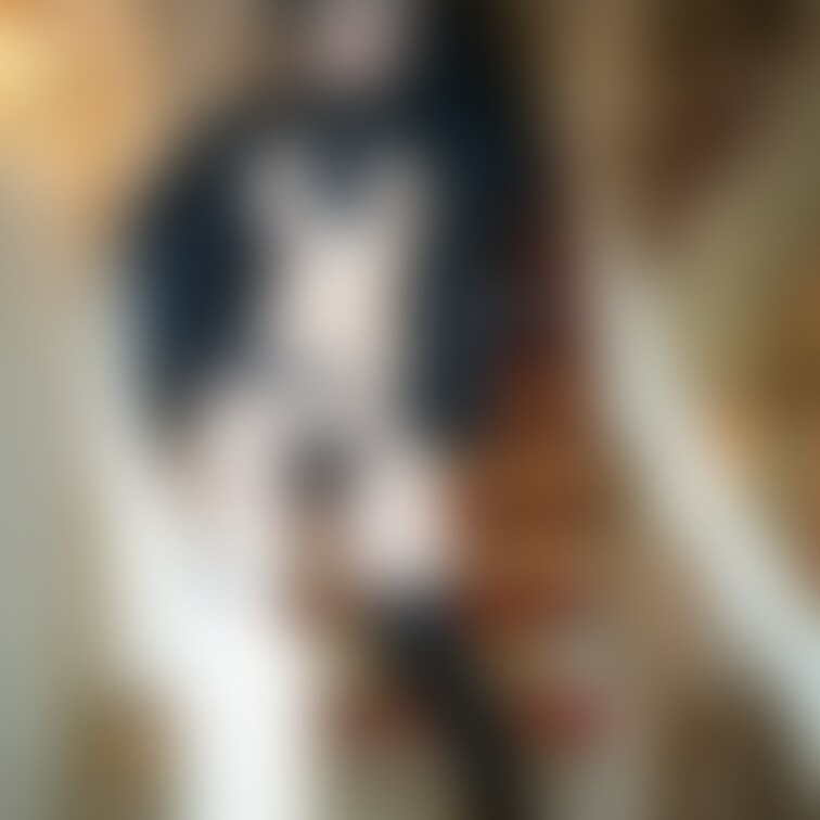 今は無き
川崎迎賓館にて