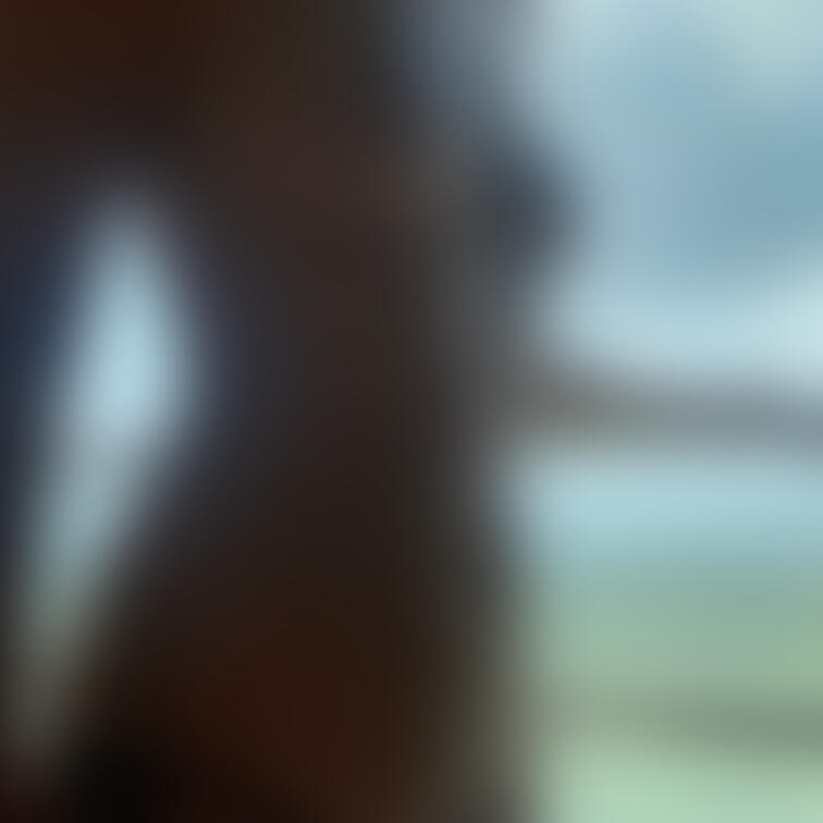 スマホで撮ったらいい感じだったので