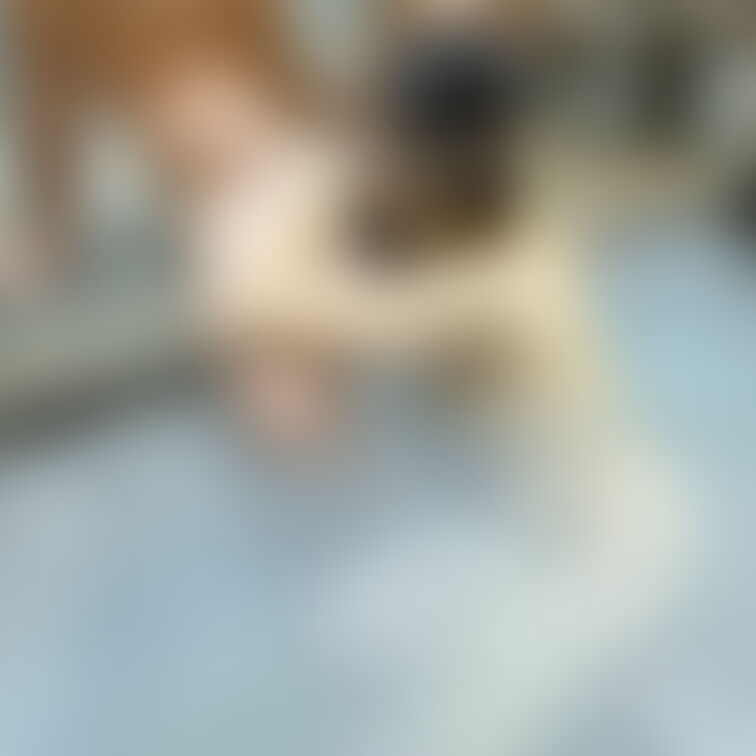 昨日から混浴宿に来ています。
のでこれは事前の予約投稿。
昨夜はいい出会いがあったのでしょうか?
後日いい報告がで
