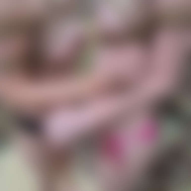 👑スペシャルプラン限定👑
 
 山で沢山写真撮ってきました！！
 綺麗だしエロかった…🤤💓
 part⑧
 