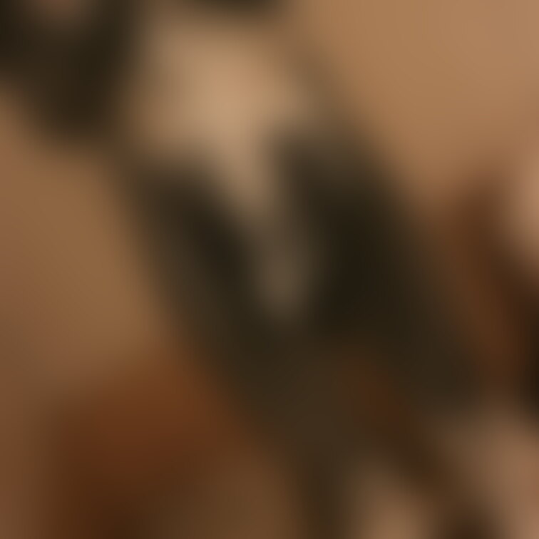 【イケメンペイント】
 メッシーを嫌がる友達にペイントを塗りました！
 ゴールドプランでは大量に写真を公開します！