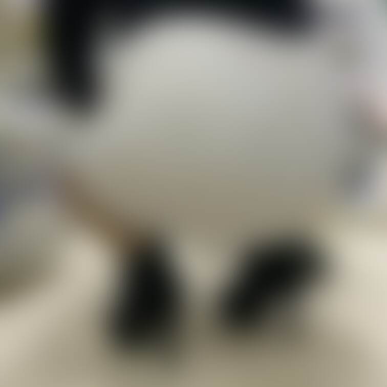 コレ履いてた