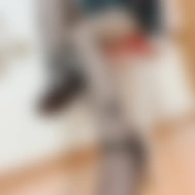 黒ストッキングでおきゅいん🍗
踏まれたいんでしょ？