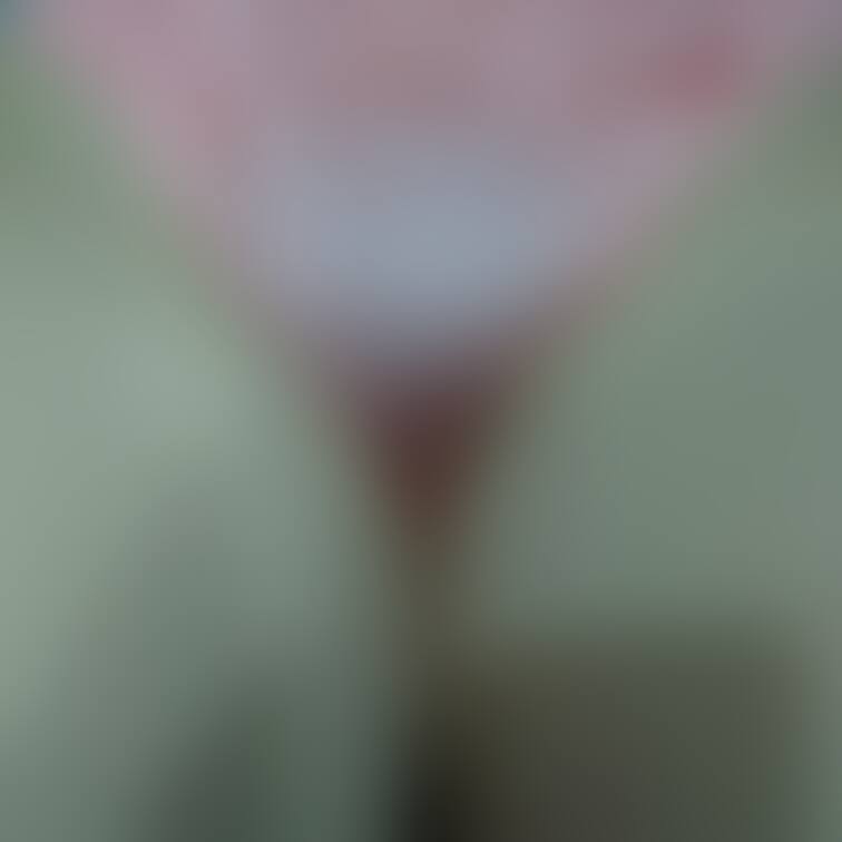 ぴんきーぱんちぃー