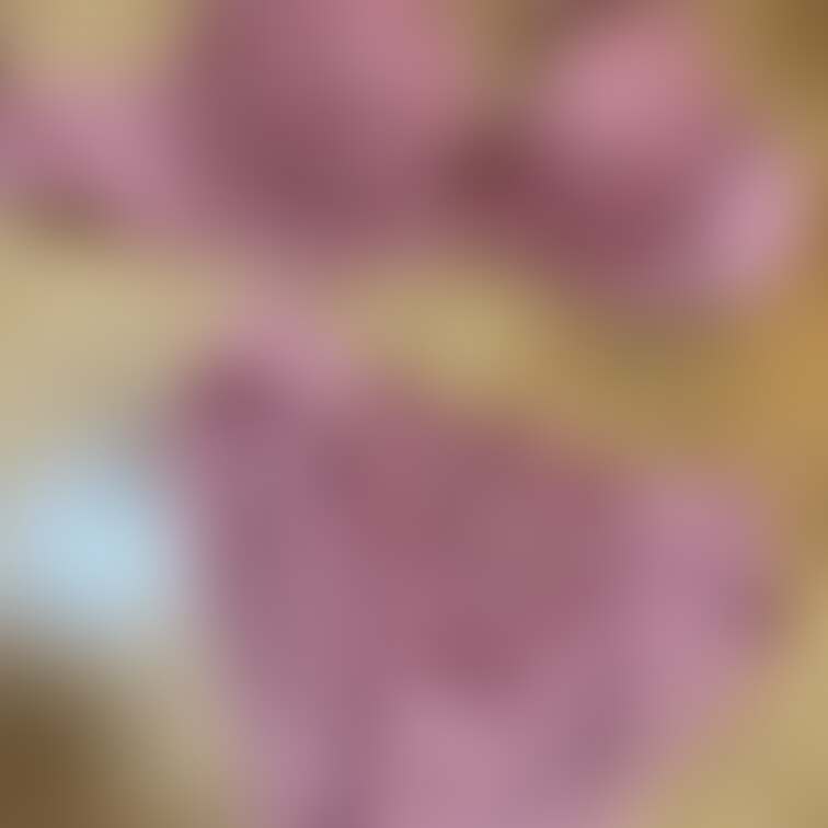 妻の抜け殻✨２日分

需要はございますか？
比較するものでもありませんが、
妻はあまり汚れが付かない印象です。