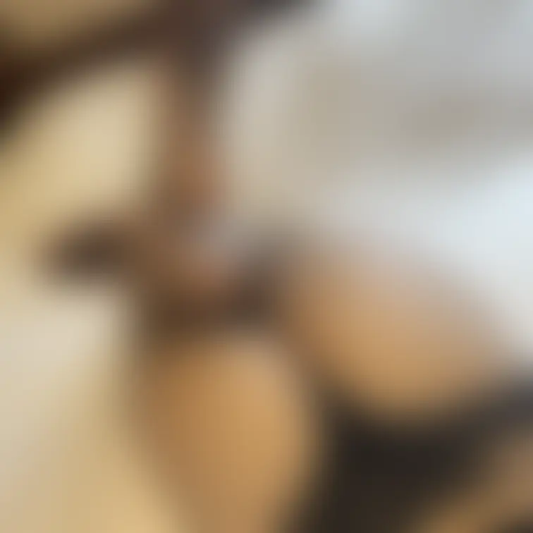 みんな新しいお尻だよ〜