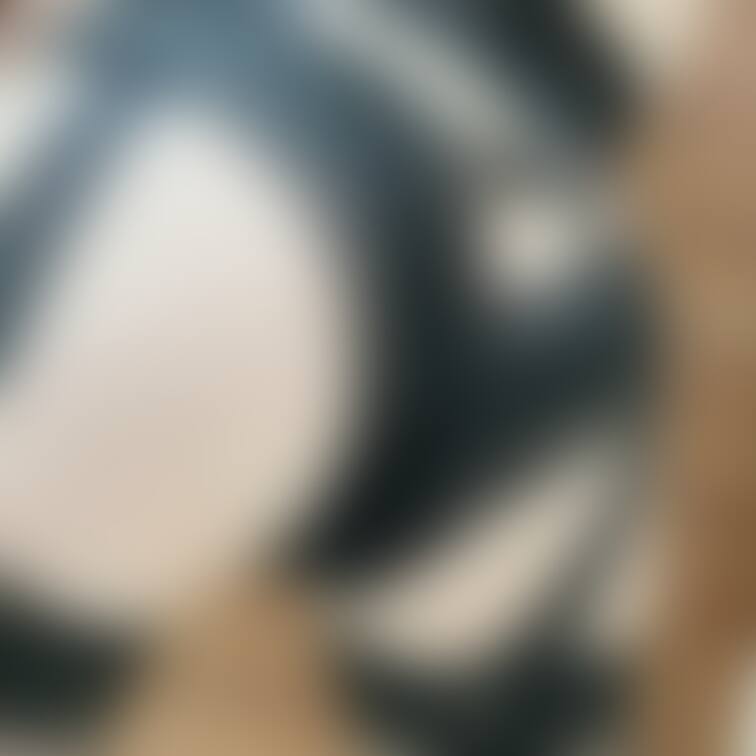 おしりおしりおしり
おっぱいとおしりどっち好き？