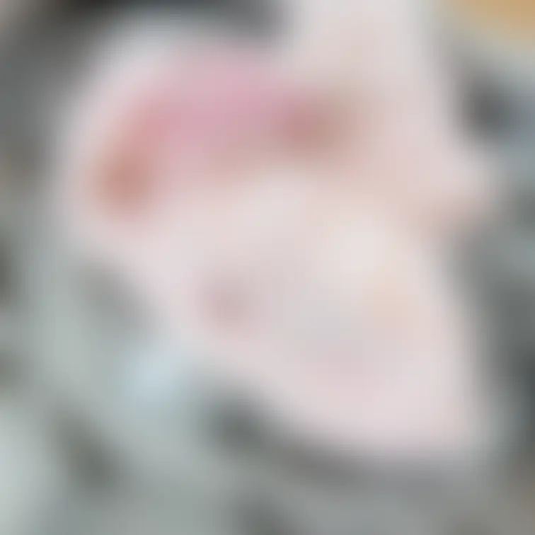 あらやだお染み込みおっきい😣🌷