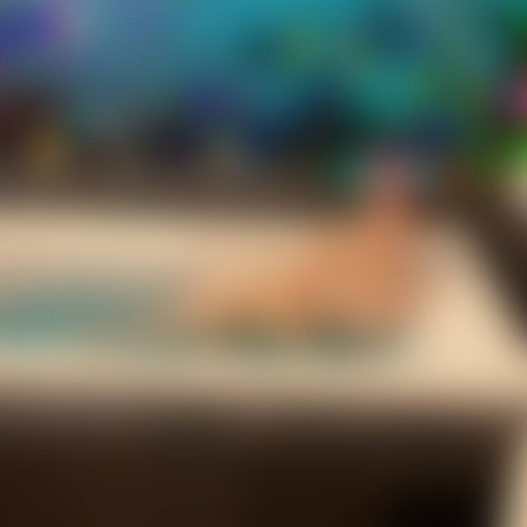 カルバンクライン×貝殻ベッドでハメ撮りしたときの事後ショット❣️
https://myfans.jp/posts/b6