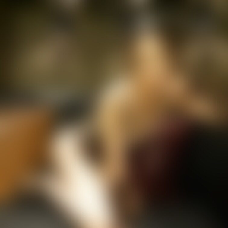 Twitterの投稿の文字無しです。
一応バニー👯‍♀️猫っぽいけど兎です🐰