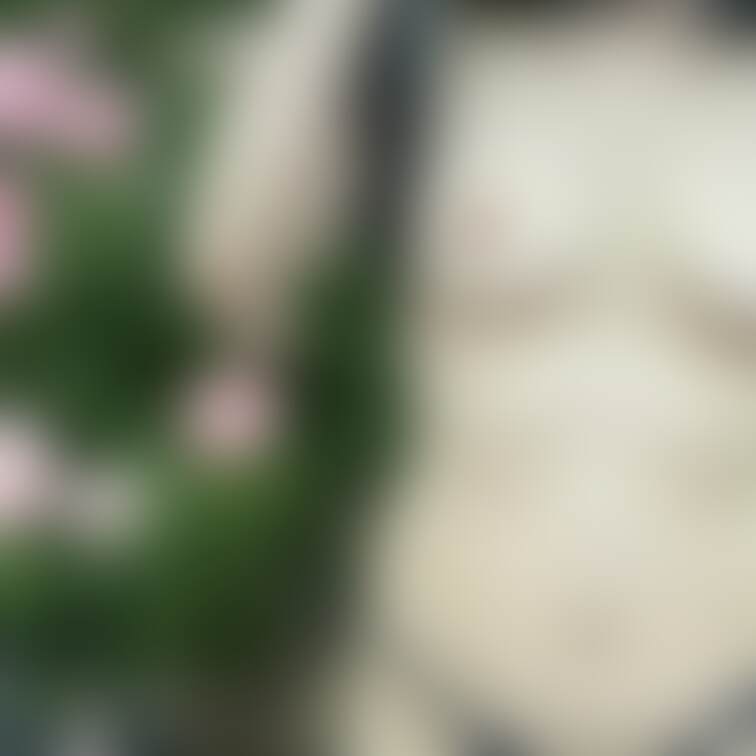 昼の公園でめくってみました☺️
パート2