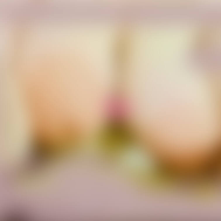 ぱいぱい詰め合わせ