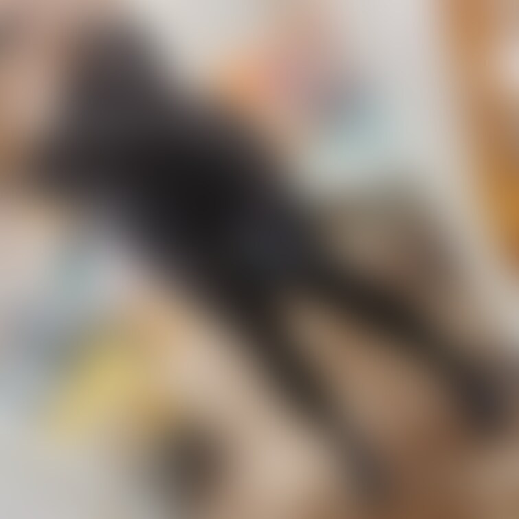 なぞすたいる！