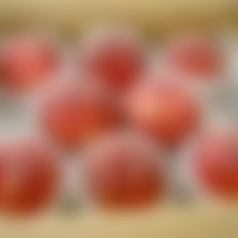 お知らせです₍ ᐢ. ̫ .ᐢ ₎
詳しくはTwitterを見てください↓↓↓
https://twitter