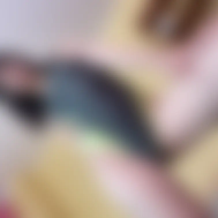 みゅうちゃん写真集
