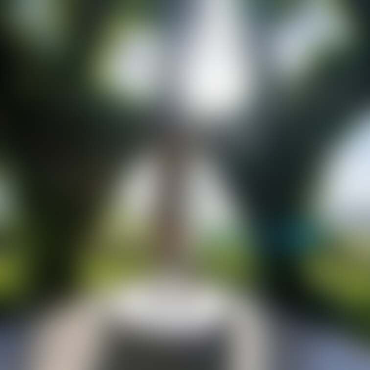過去の削除写真の再投稿です。（2023年8月投稿）
変態さんの多い公園で・・・②