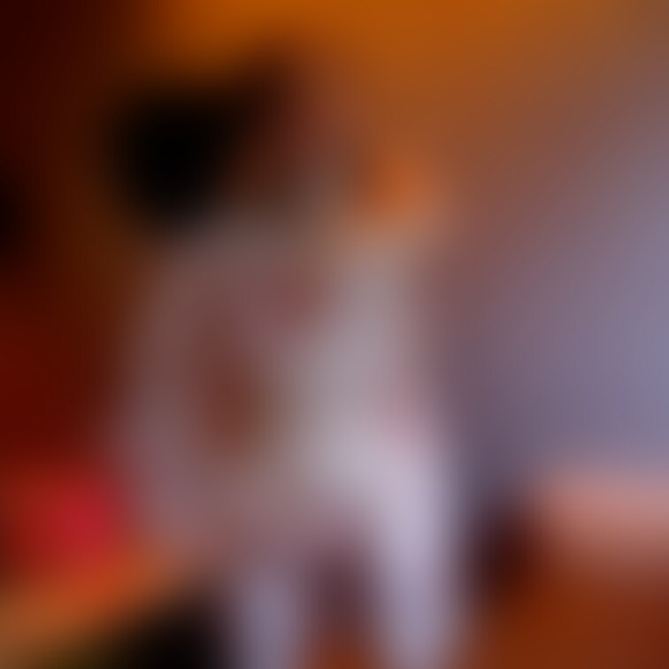 ☘️VIPゲキ推し&プラチナ&スタンダ-ドプラン用☘️クリンのお顔出し☘️
これもとっても人気で2024年の『いいね💖