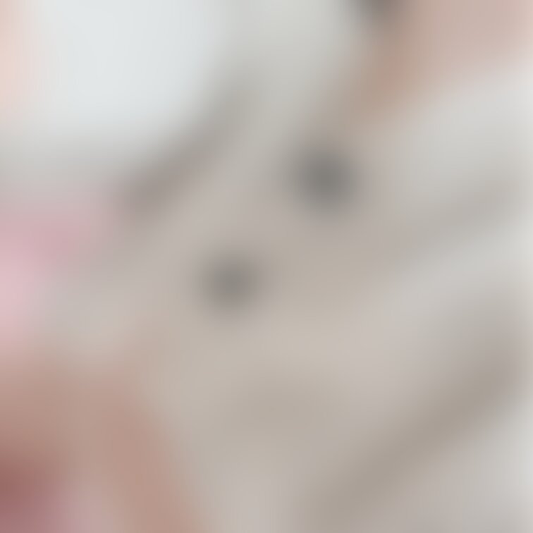 夕方の散歩の前に