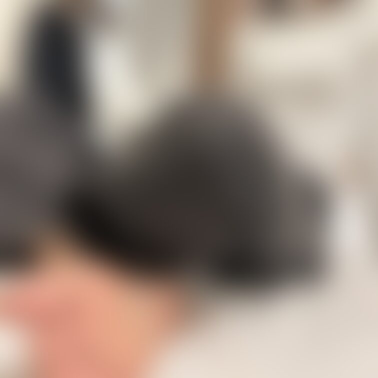 Ai/19 years old/university student💕 ②
 
Foot size: 22cm