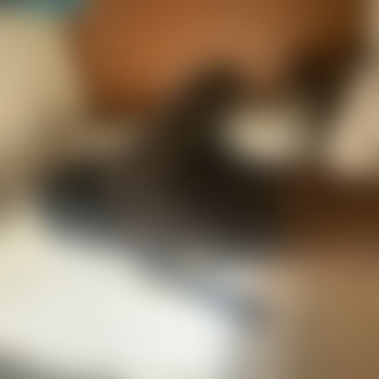 何でもない日常。
