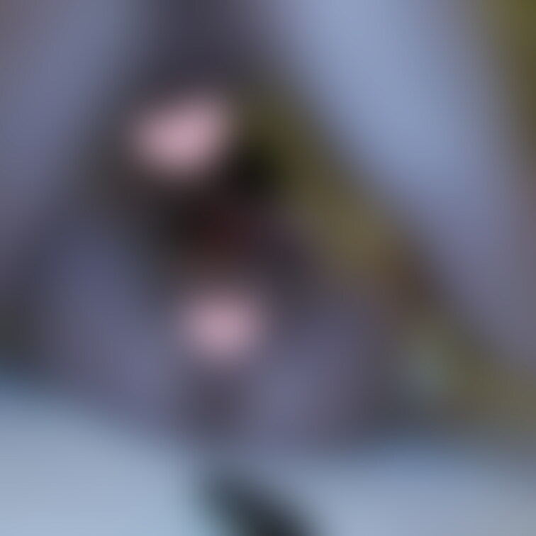 ●名門女学院大1年 Gカップ美咲ちゃん○○○#2 生粋のお嬢様にアイマスク＆リード付けて種付け2連発！
https:/