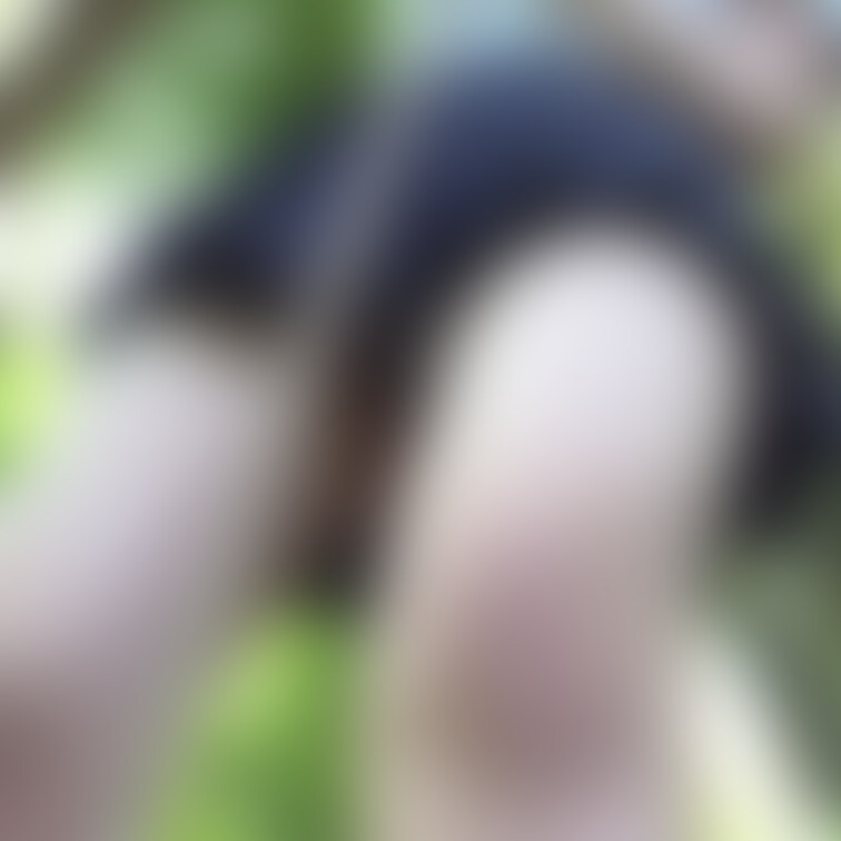 ミニスカJ.K制服でアスレチックに挑戦したら、縞パンが丸見えに…

動画サークル「ピンクソックス」
https:/