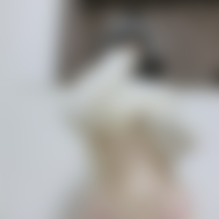 ふわふわニットすき？