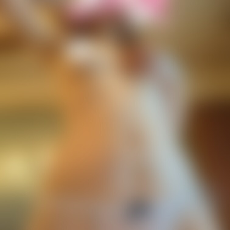 Twitterに投稿した写真です♡
スタンプなしは有料プランで公開中です！