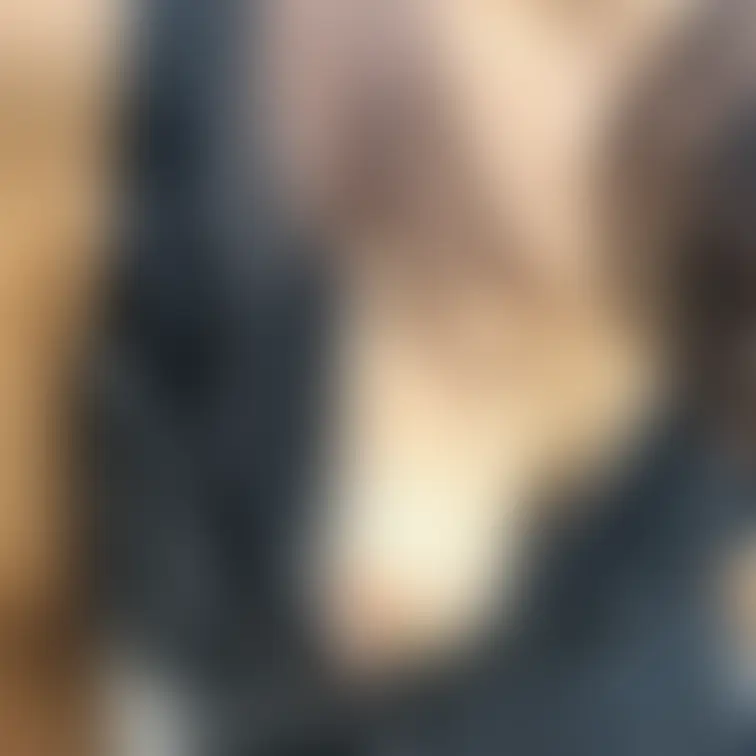 あら、いやだ！乳首鳥肌たってるのかしら……
お久しぶりですが相変わらずのこんな貧相な熟女です🌹