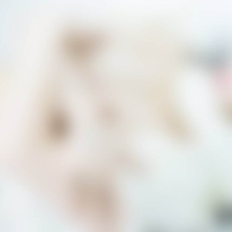 まるで雪原のよう
皆さんのお住まいの地域は、雪の状況どうですか?東京はテレビで騒いでいたほどでは無い感じです。