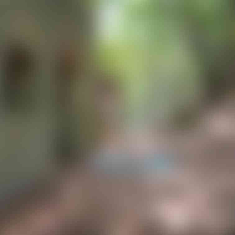 過去の削除写真の再投稿です。（2023年9月投稿）
ラピュタの世界で・・・⑤