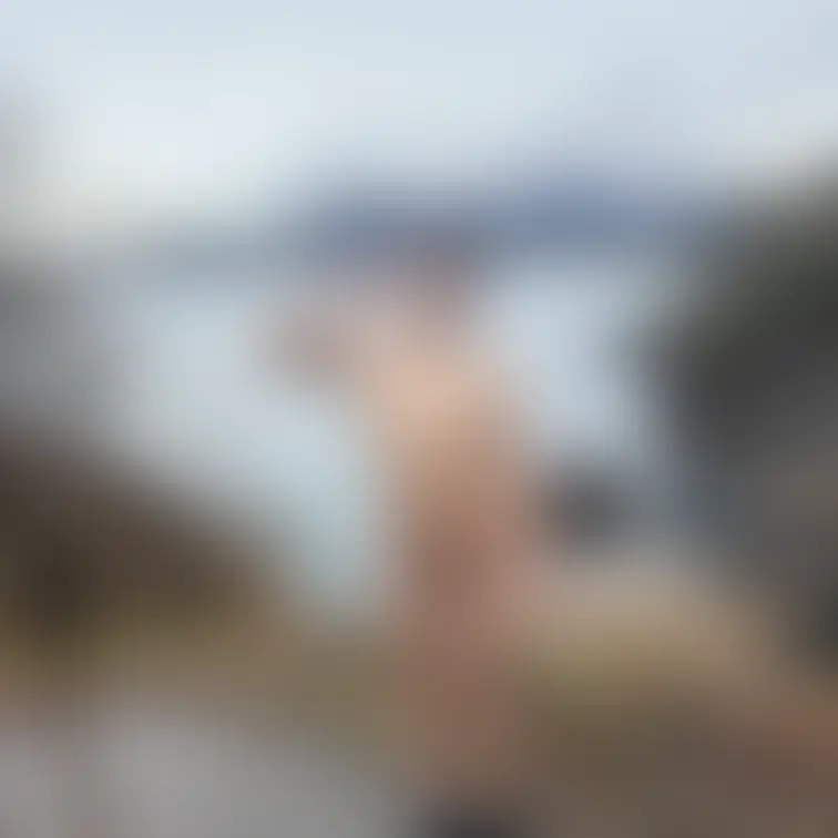 露出撮影📸