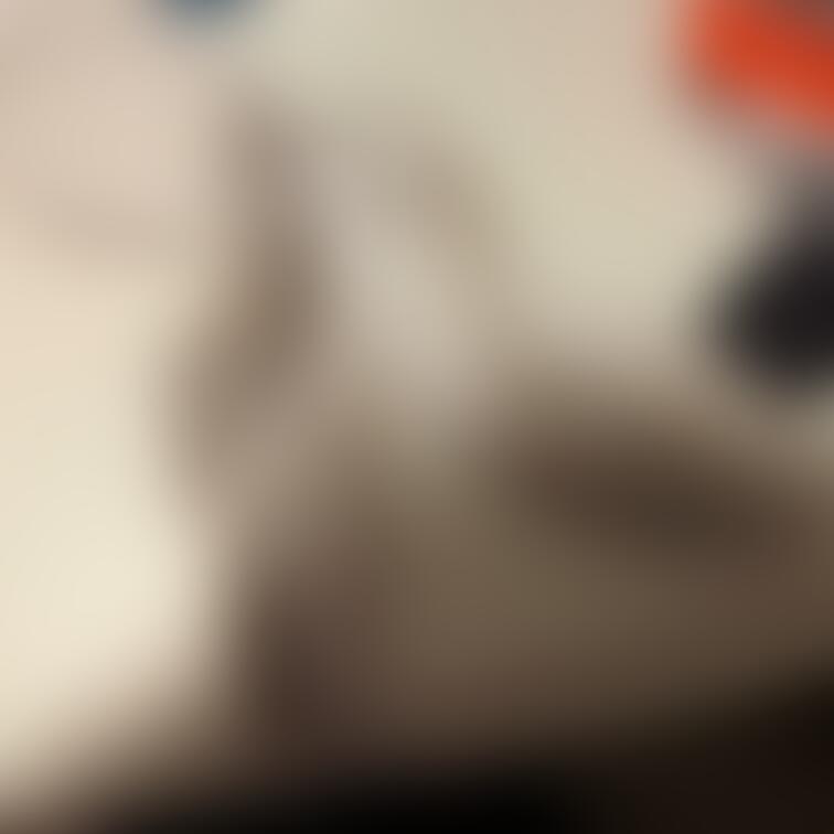 さっきの入り切らなかった分です‪‪🙄‬
