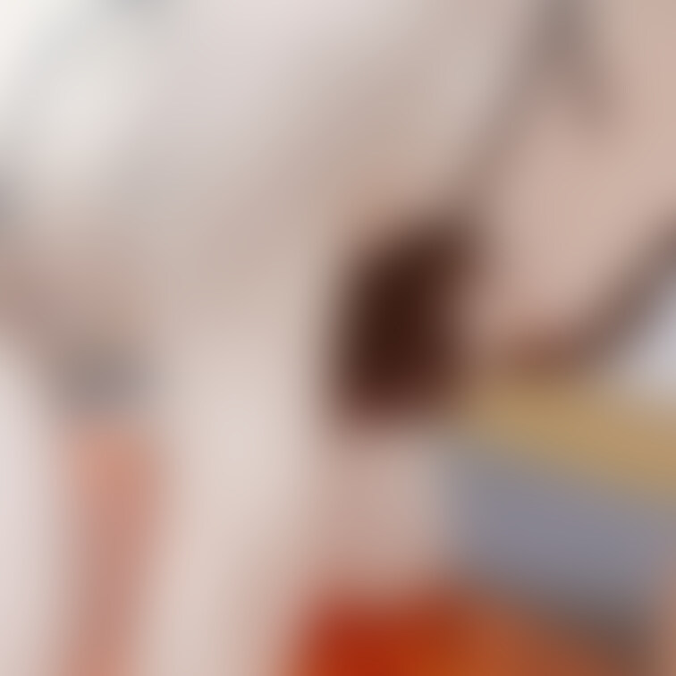 これからいっぱいお写真あげていくね