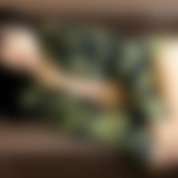 - ̗̀🐯 ̖́-