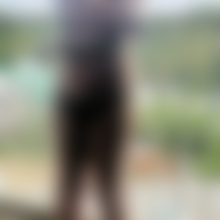 Twitterの元画像です🤫
二の腕の肉がやばすぎますね💦

元々ガッツリな体育会系だったのですけど、この歳になっ