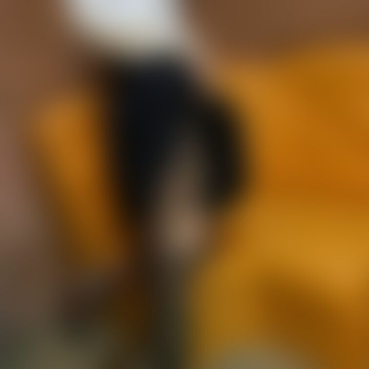 黒タイツ🐾
過激なものは有料プランにあります💓