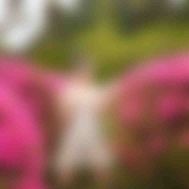 春が来たからたくさん外で色々できる季節になってきた…🔞🌿
