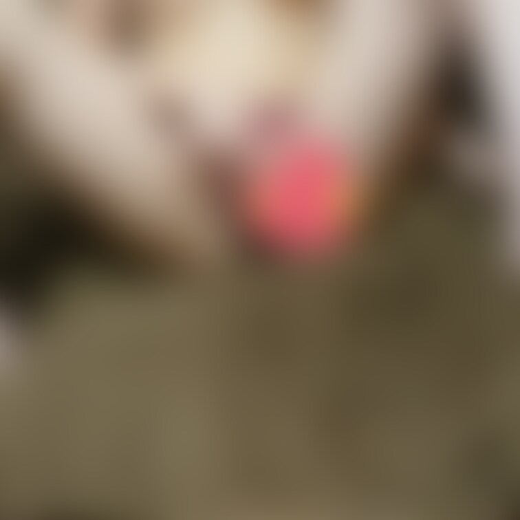 かなり過激な画像たち🥰
久しぶりの投稿です🥰
チップかスパコメくれたら❤️なしのやつ送ろうか?笑
どん
