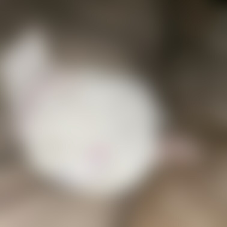○○○（20代）のパジャマとベッド