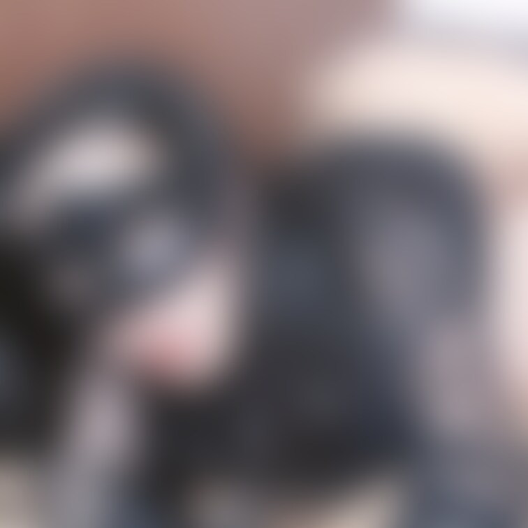 おはよう☀️
最近暖かくなってきたね💕︎
今週ももうひと踏ん張り✊😬