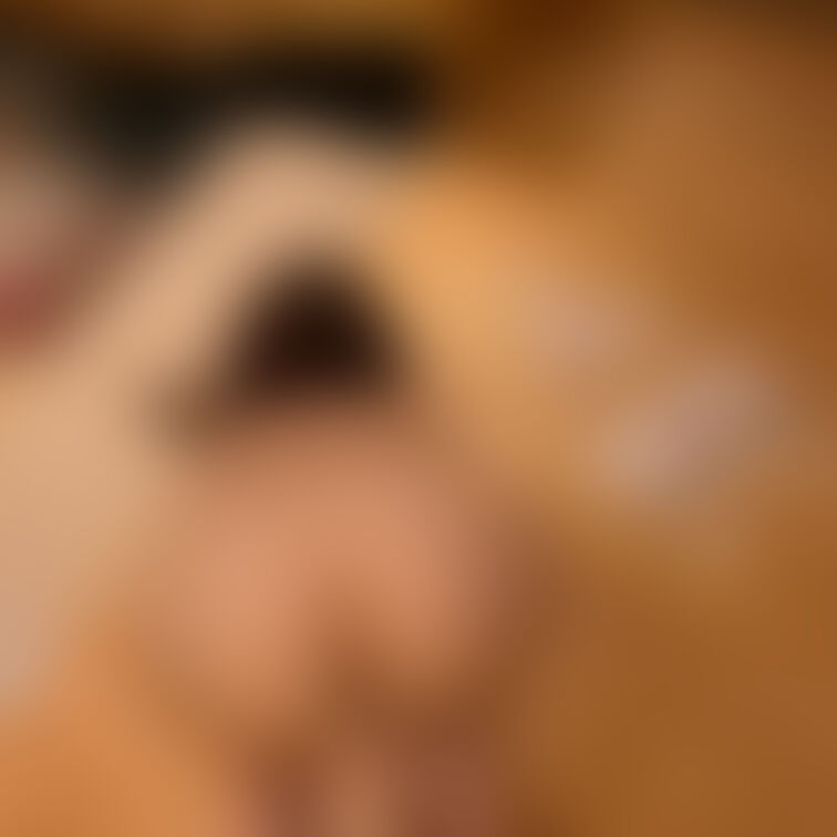 Xの続きです❤️知らないおじさんに貸し出されてきました😖肉便器らしく全裸土下座でちん媚びお出迎え😖❤️足で頭とおまんこを
