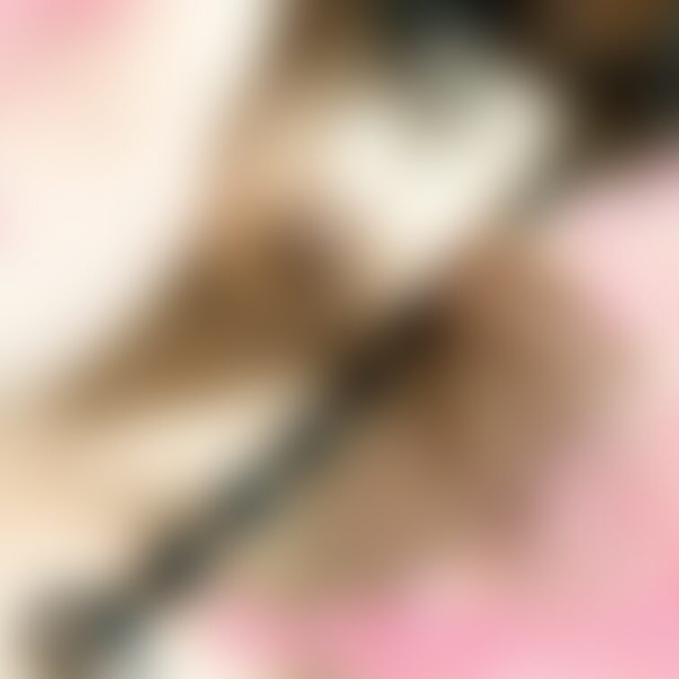 仲良くしてもらってるM男くんからプレゼント貰いました🥺💕
ーーーーーーー
②個目入れてる動画
https://
